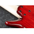 Ibanez ANB205 Signature Adam Nitti
