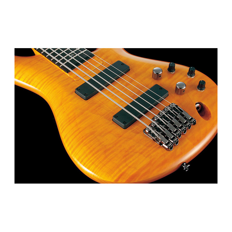 Ibanez GVB1006-AM J.Custom Ambar
