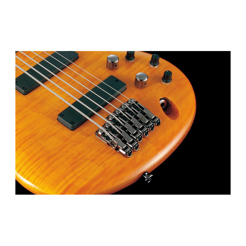 Ibanez GVB1006-AM J.Custom Ambar