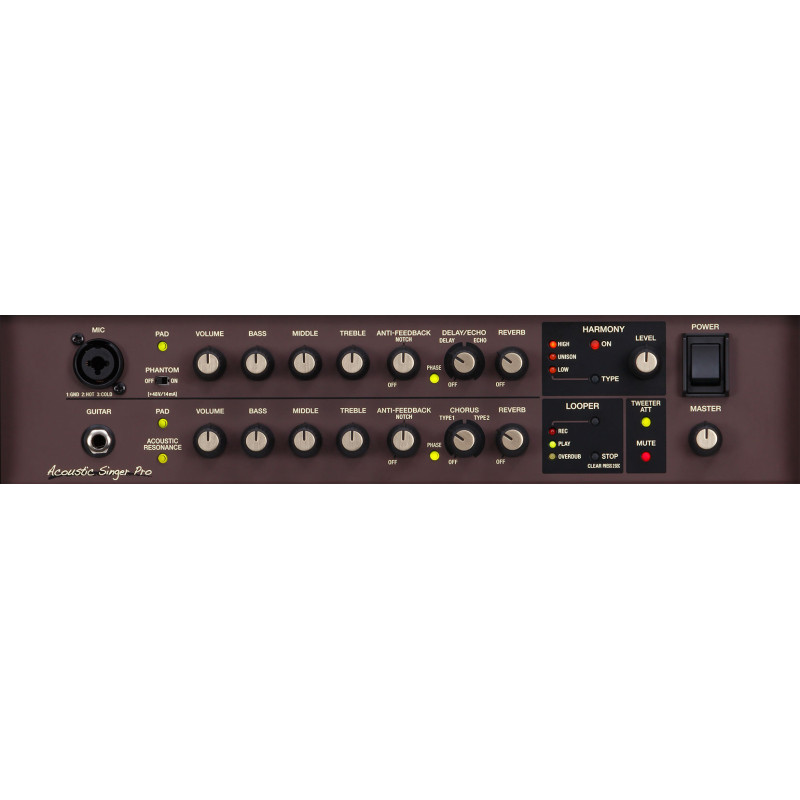Boss Acoustic Singer Pro