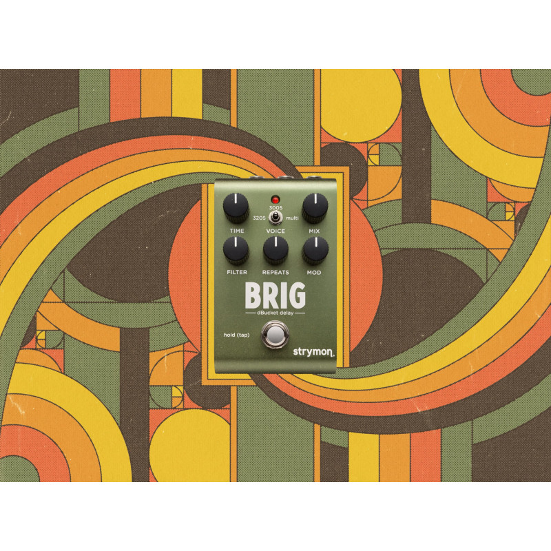 Strymon Brig Delay