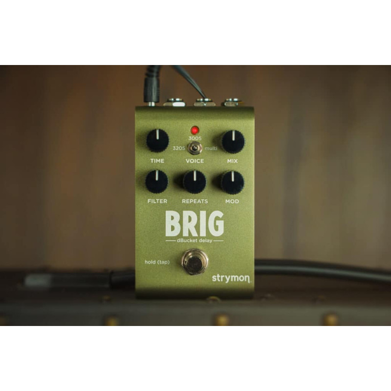 Strymon Brig Delay