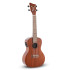 Gewa Ukelele K-CO-E Concierto Electrificado
