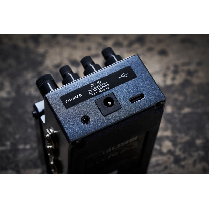 Boss IR-2 Amp & Cabinet