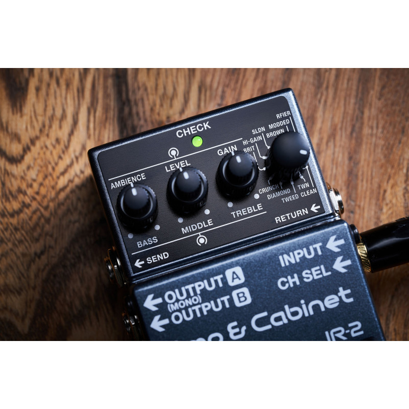 Boss IR-2 Amp & Cabinet