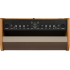 Fender Acoustic 100