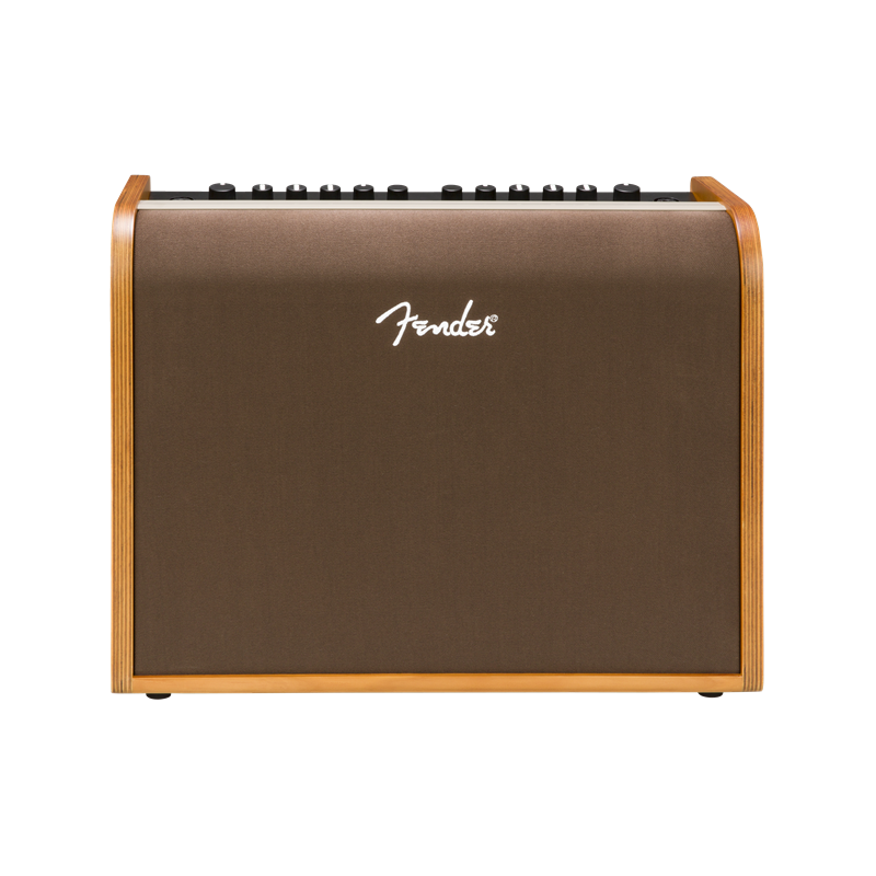 Fender Acoustic 100