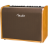 Fender Acoustic 100