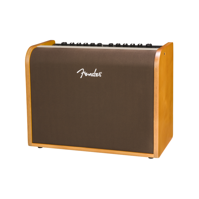 Fender Acoustic 100