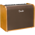 Fender Acoustic 100