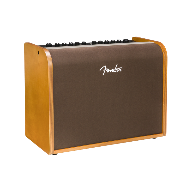 Fender Acoustic 100