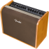Fender Acoustic 100
