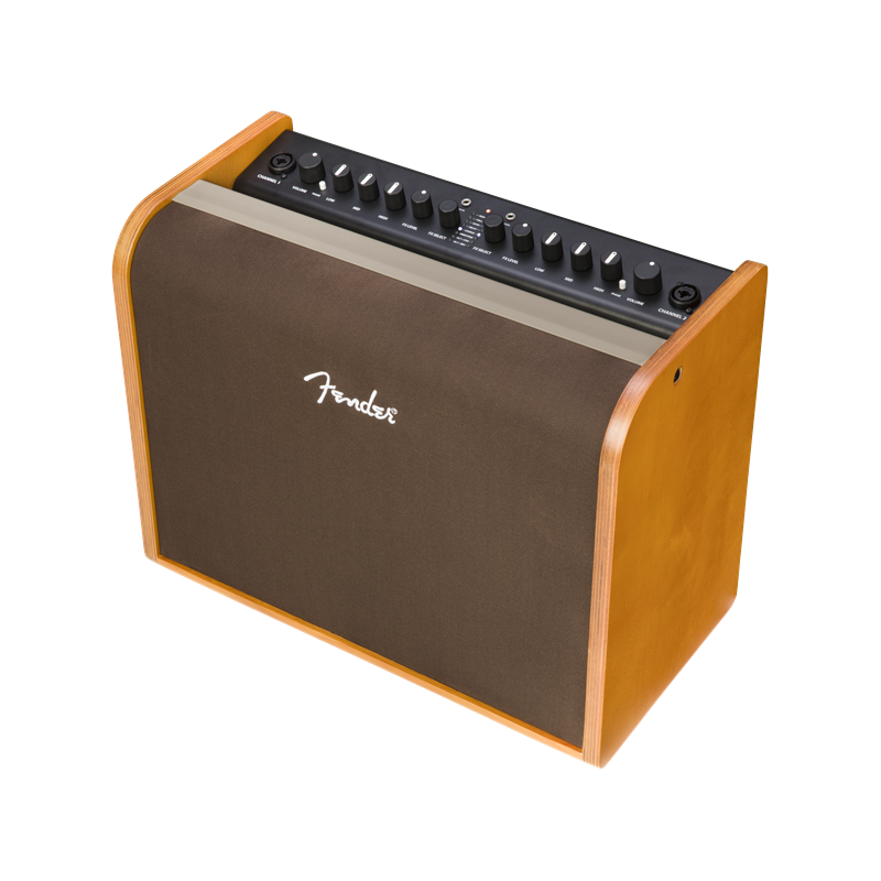 Fender Acoustic 100