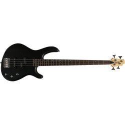 Cort Action PJ Open Pore Black