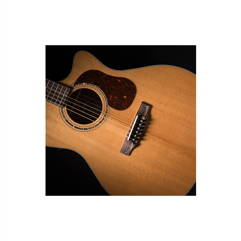 Cort Gold A6 Natural with Case