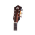 Guild F-250E Deluxe Maple Antique Burst