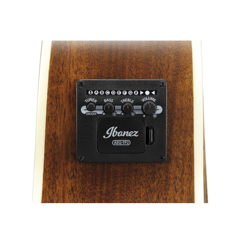 Ibanez AE100 Dark Tide Blue Flat