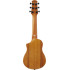 Ibanez AUP10N Open Pore Natural