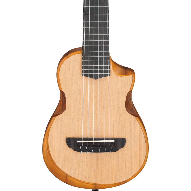 Ibanez AUP10N Open Pore Natural