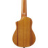 Ibanez AUP10N Open Pore Natural