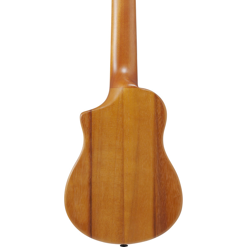 Ibanez AUP10N Open Pore Natural