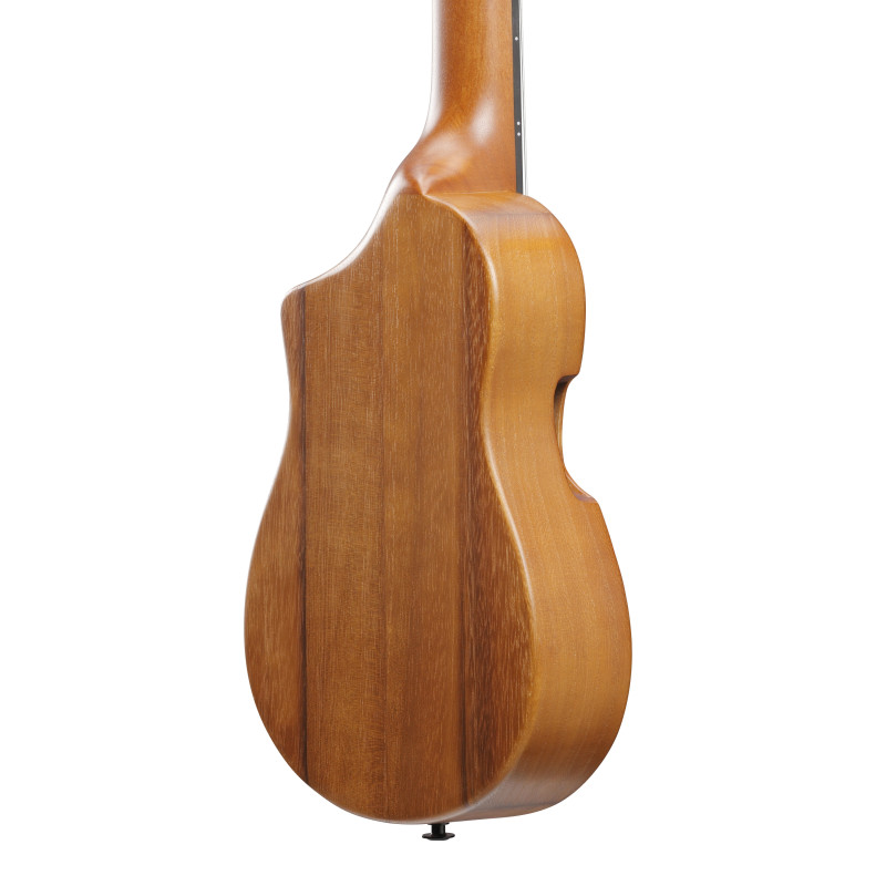 Ibanez AUP10N Open Pore Natural