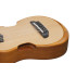 Ibanez AUP10N Open Pore Natural