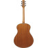 Ibanez AAM50 Open Pore Natural