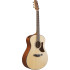 Ibanez AAM50 Open Pore Natural