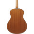 Ibanez AAM50 Open Pore Natural