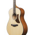 Ibanez AAM50 Open Pore Natural