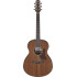 Ibanez AAM54 Open Pore Natural