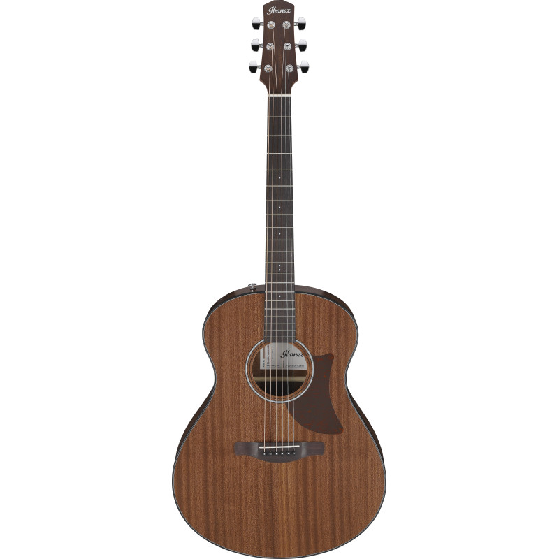 Ibanez AAM54 Open Pore Natural
