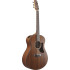 Ibanez AAM54 Open Pore Natural