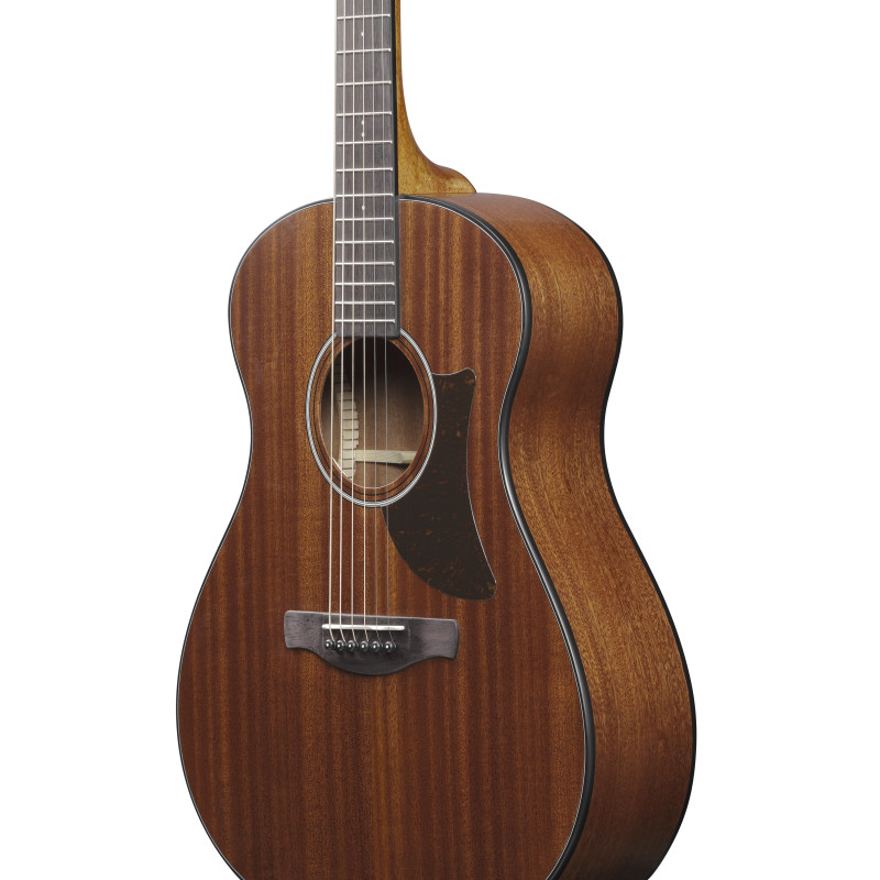 Ibanez AAM54 Open Pore Natural