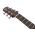 Ibanez AAM54 Open Pore Natural