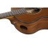 Ibanez AAM54 Open Pore Natural