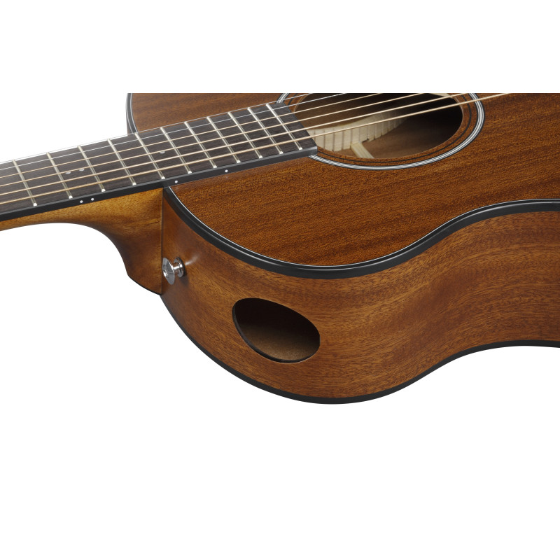 Ibanez AAM54 Open Pore Natural