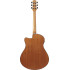 Ibanez AAM50CE Open Pore Natural