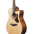 Ibanez AAM50CE Open Pore Natural