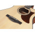 Ibanez AAM50CE Open Pore Natural