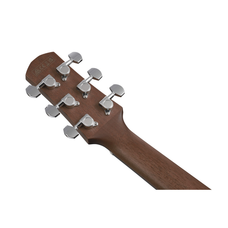 Ibanez AAM380CE Natural High Gloss