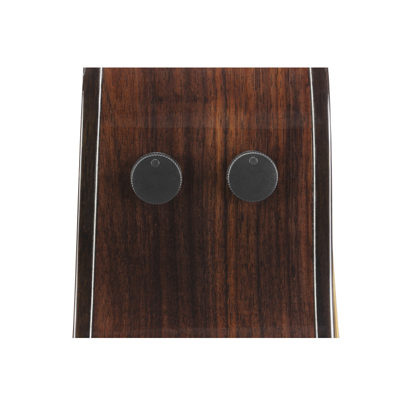 Ibanez AAM380CE Natural High Gloss