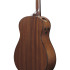 Ibanez AAM740E Natural Low Gloss