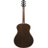 Ibanez AAM780E Natural High Gloss