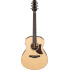 Ibanez AAM780E Natural High Gloss