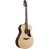 Ibanez AAM780E Natural High Gloss
