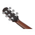 Ibanez AAM780E Natural High Gloss