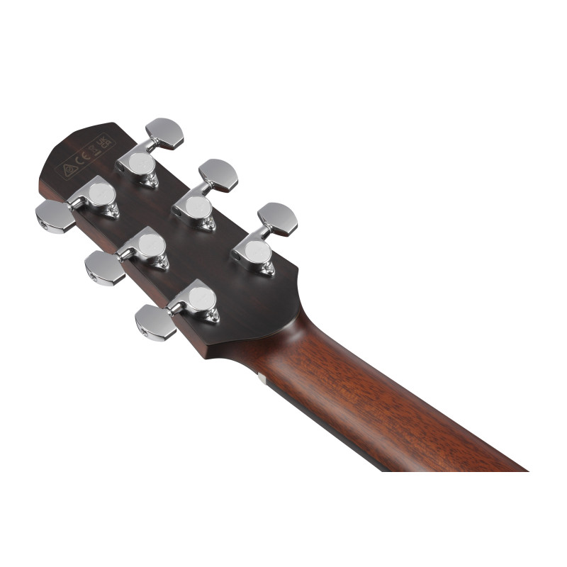 Ibanez AAM780E Natural High Gloss