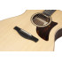 Ibanez AAM780E Natural High Gloss